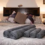 Comfortable Private On Elbe River Dresden
