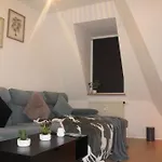 Comfortable Private On Elbe River Dresden