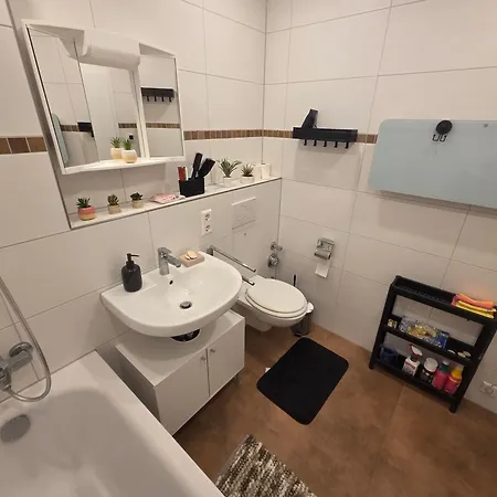 Comfortable Private On Elbe River