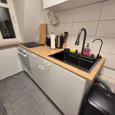 Comfortable Private On Elbe River Dresden