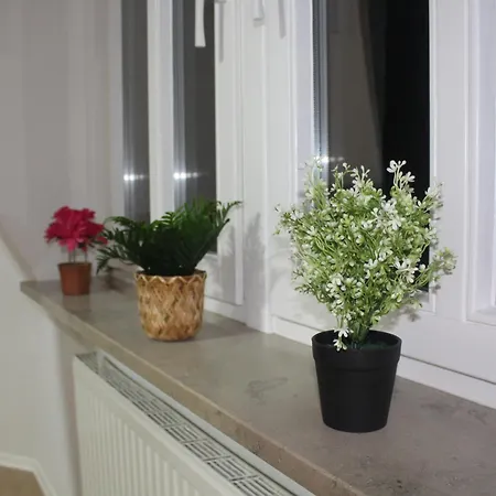 Comfortable Private On Elbe River Hotel *