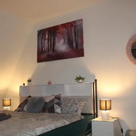 Hotel Comfortable Private On Elbe River Dresden