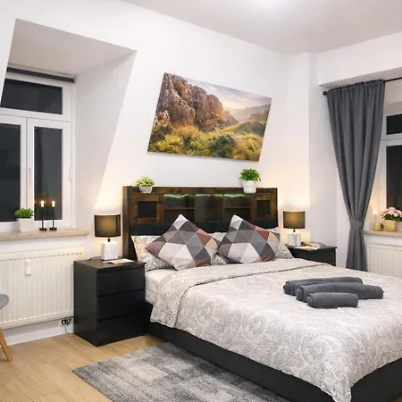 Comfortable Private On Elbe River Dresden