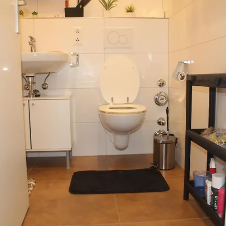 Hotel Comfortable Private On Elbe River Dresden