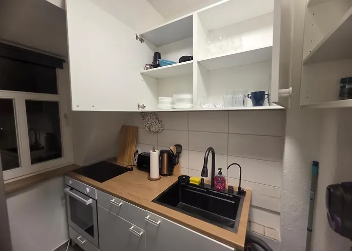 Hotel Comfortable Private On Elbe River Dresden