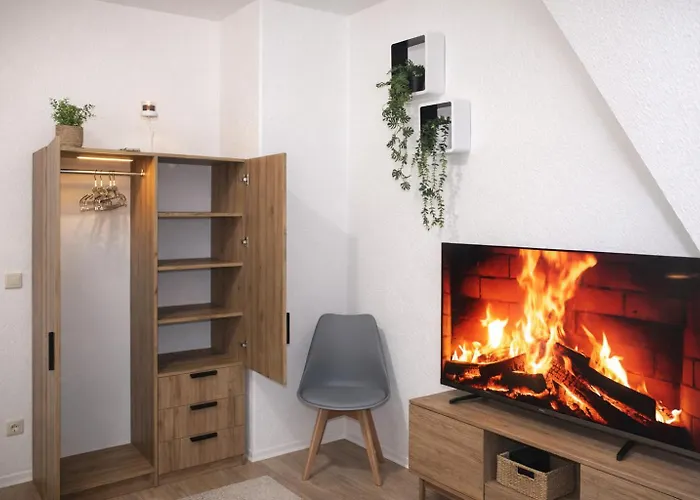 Hotel Comfortable Private On Elbe River Dresden