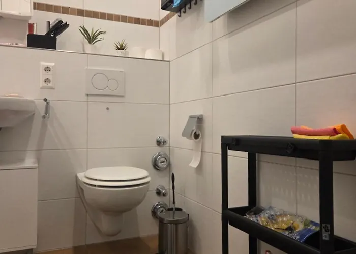 Comfortable Private On Elbe River