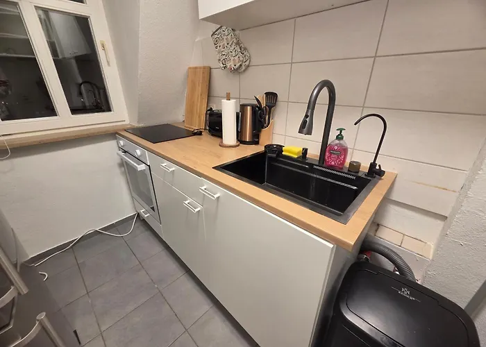 Comfortable Private On Elbe River Dresden