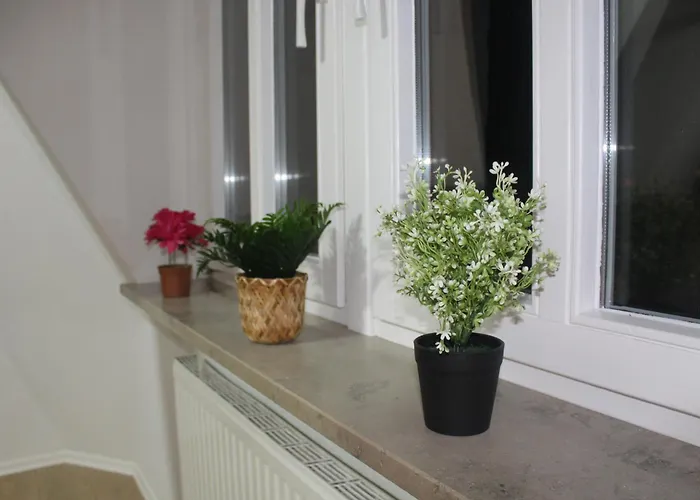 Comfortable Private On Elbe River Hotel *