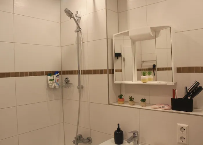 Hotel Comfortable Private On Elbe River *