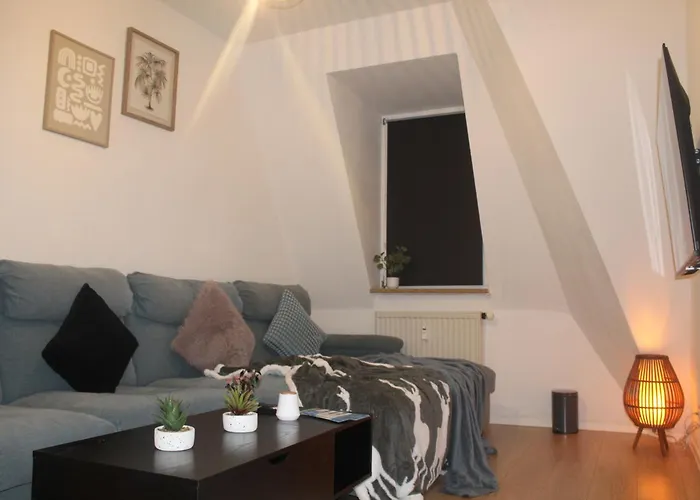 Comfortable Private On Elbe River Dresden