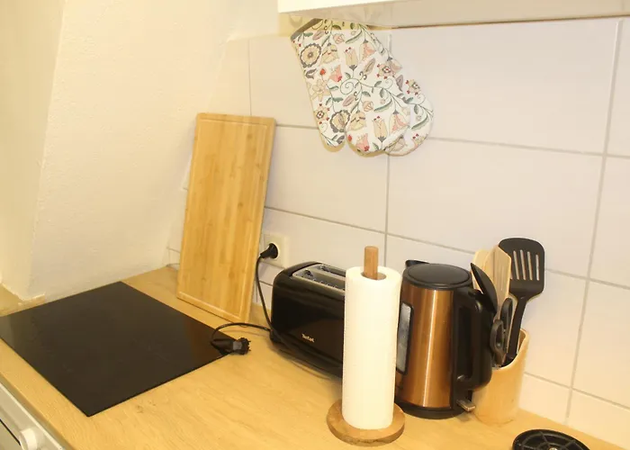 Comfortable Private On Elbe River Dresden