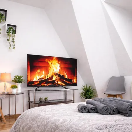 Comfortable Private On Elbe River Hotel Dresden