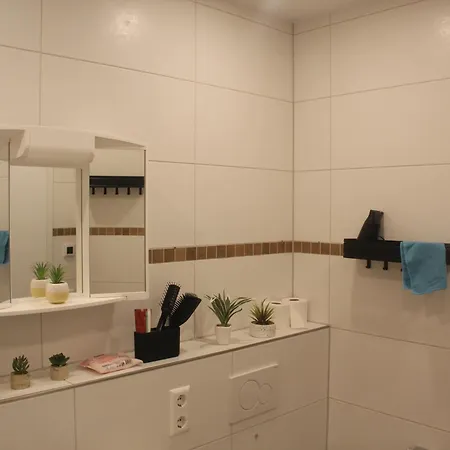 Comfortable Private On Elbe River Hotel Dresden