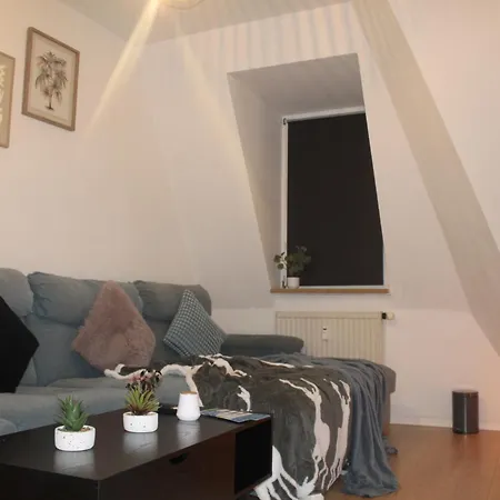 Comfortable Private On Elbe River Dresden