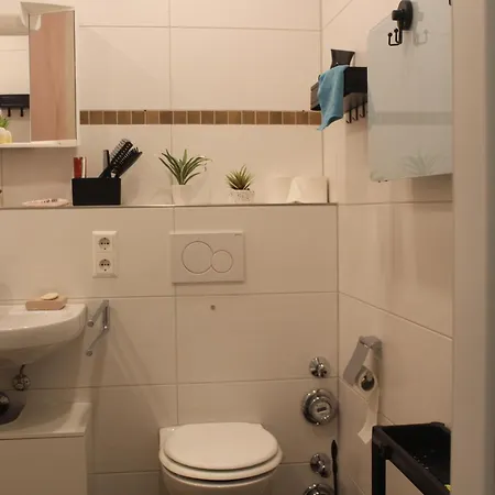 Comfortable Private On Elbe River Dresden